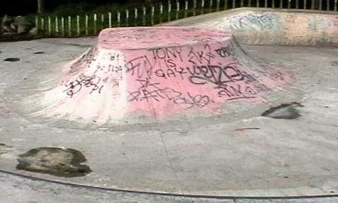 Macquarie Park photo 7