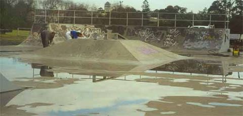 Maitland Skatepark photo 5