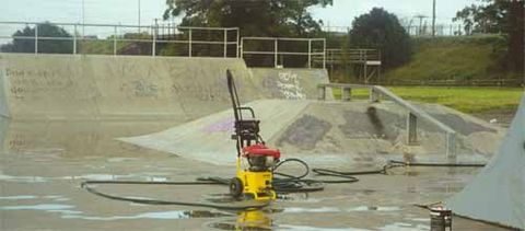 Maitland Skatepark photo 7
