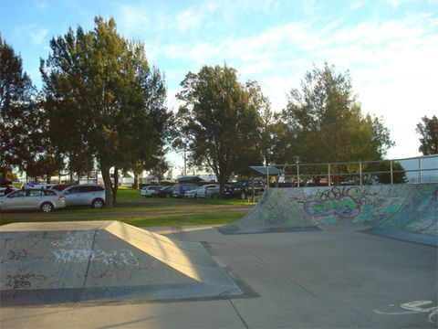 Maitland Skatepark photo 3