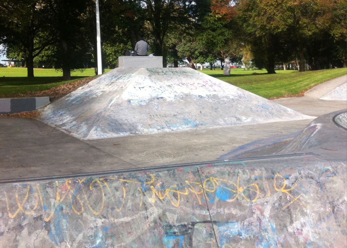 Manukau Skate Park skatepark