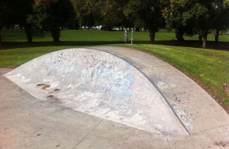 Manukau Skate Park