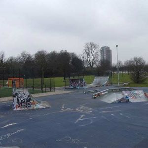 Marjike Van Der Wel Skate