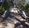 Mawson Lakes Rail