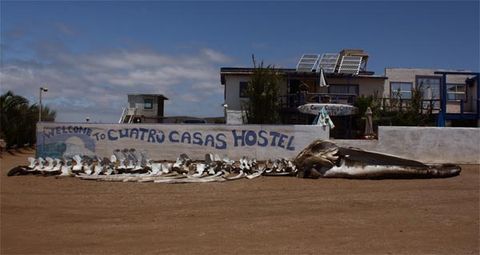 Cuatro Casas Hostel Pool photo 2