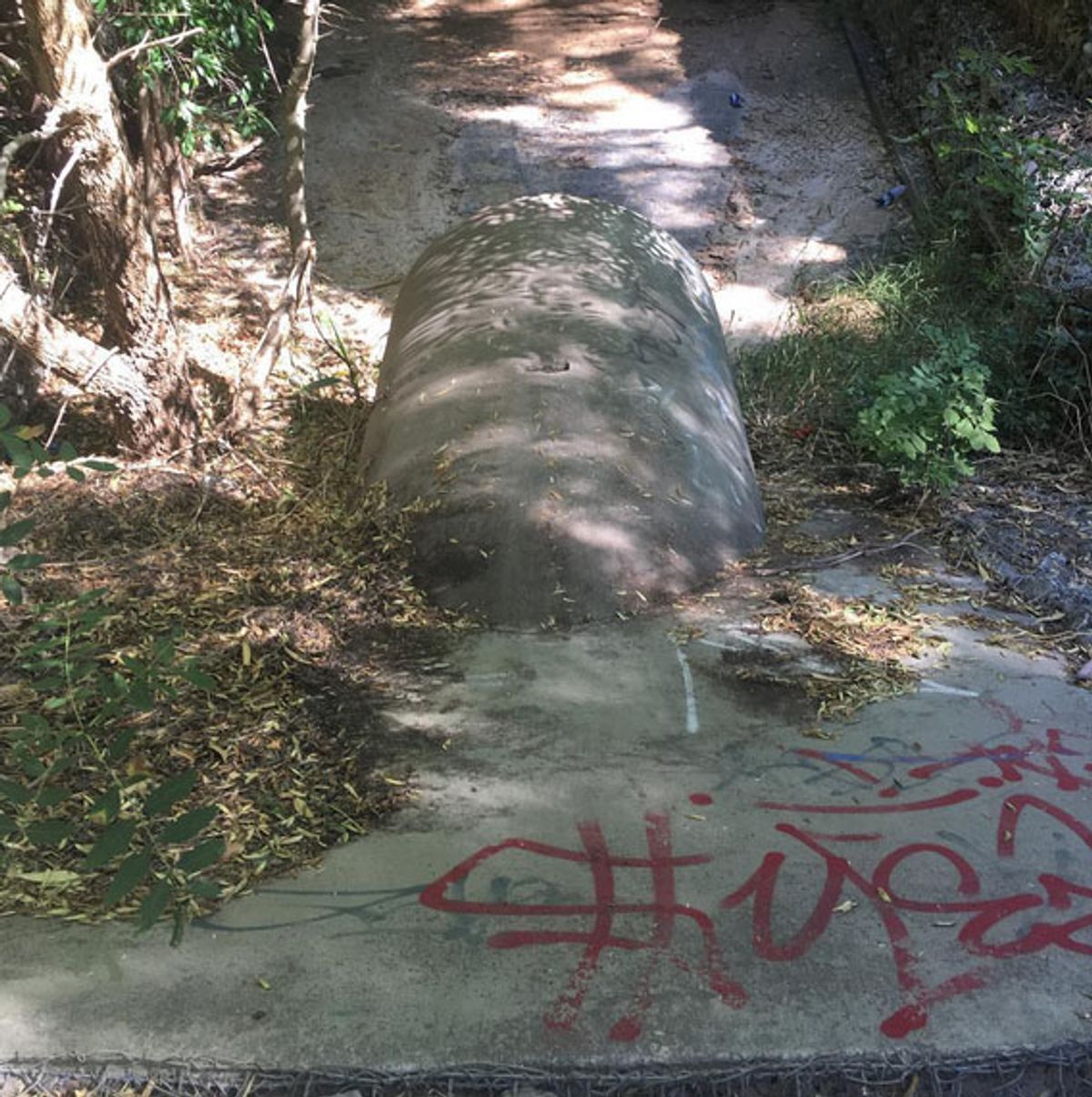 Modbury Ghetto Bank skate spot