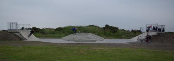Montrose Skate Park 