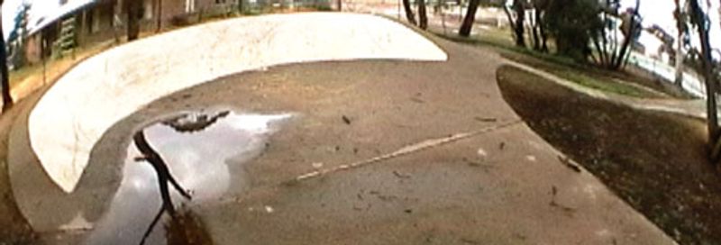 Moora Skate Park