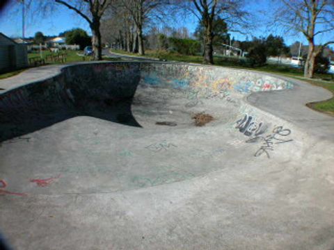 Morrinsville Bowl photo 2