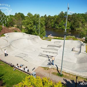 Moss Skatepark