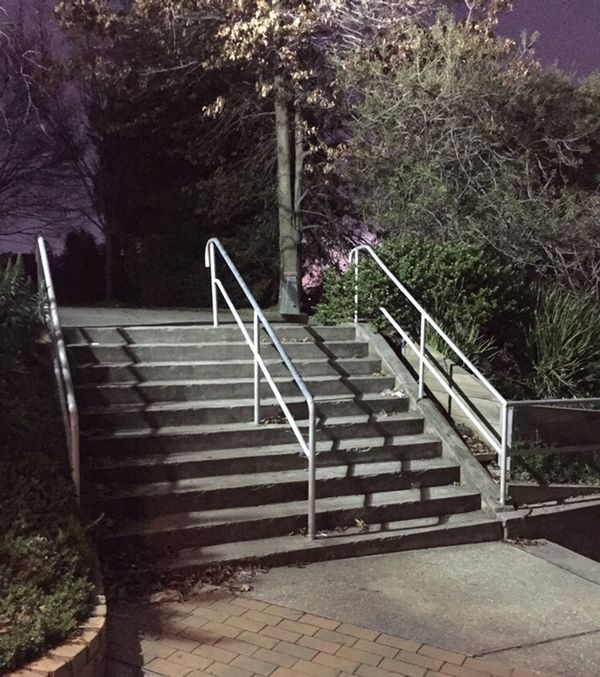 Mount Waverley Rail