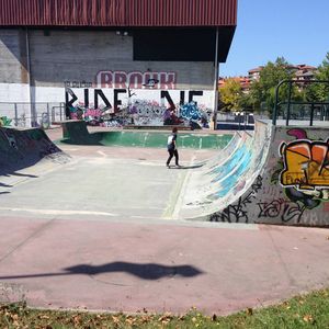 Mungia Mini Ramp 