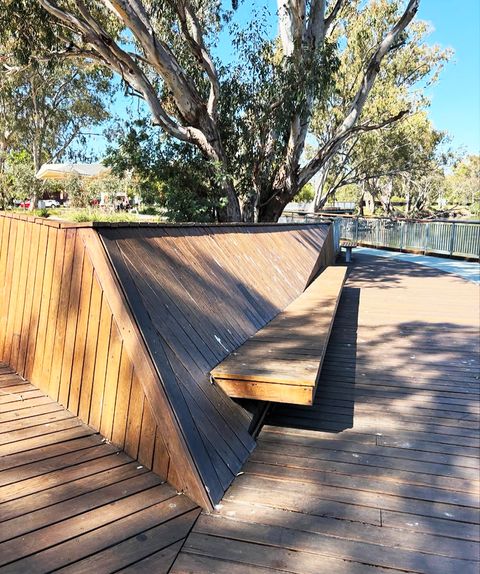 Murray River Banks photo 7