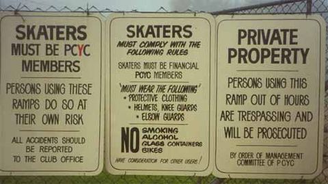 Musswellbrook Skatepark photo 3