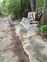 Myocum Ditch