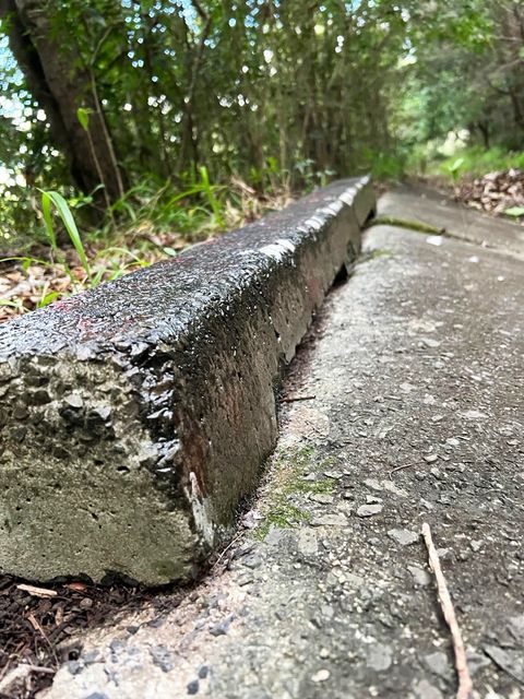Myocum Ditch photo 3
