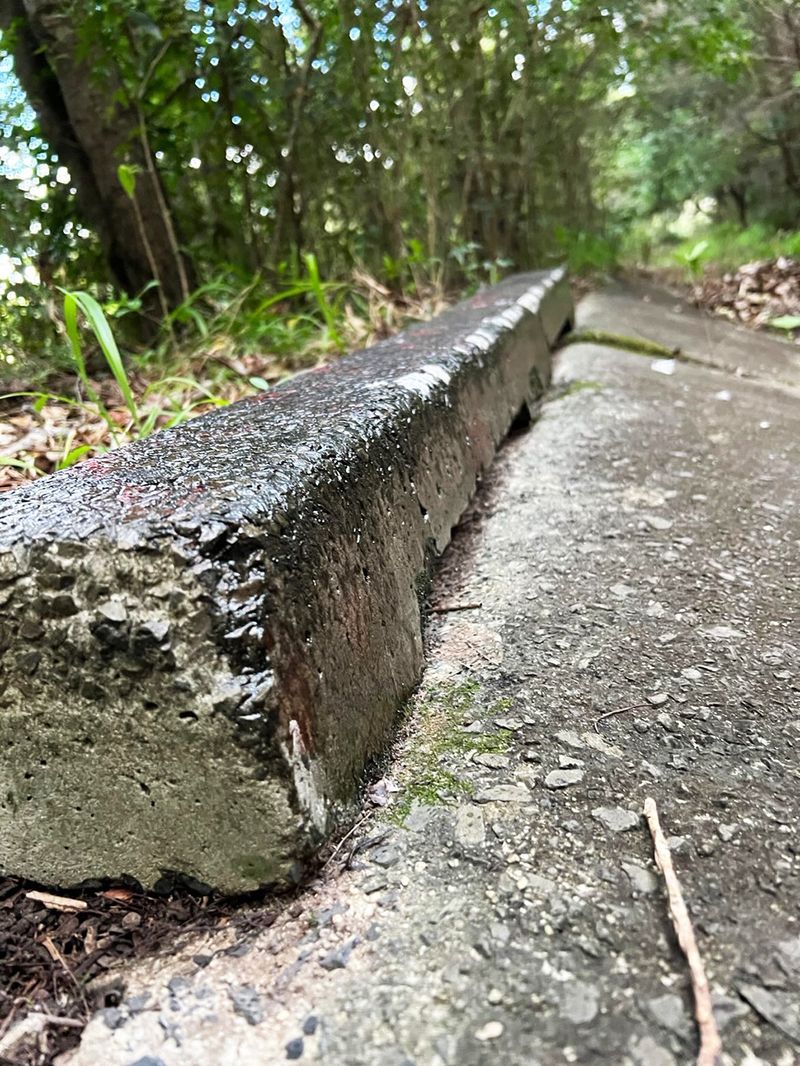Myocum Ditch 