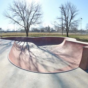 Nelson Park Skatepark
