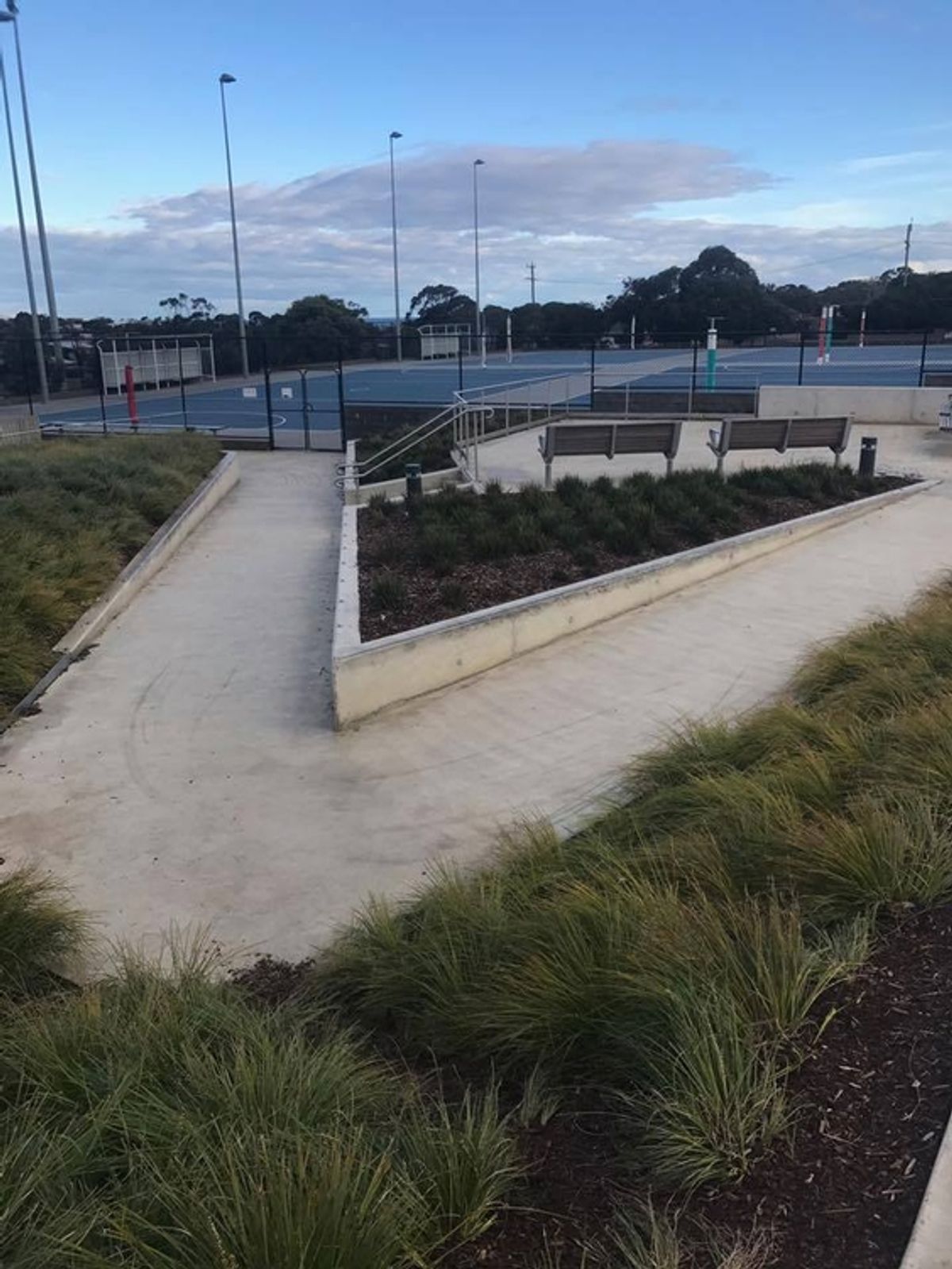 Netball Ledges skate spot
