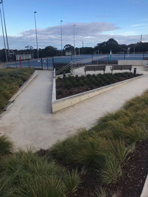 Netball Ledges