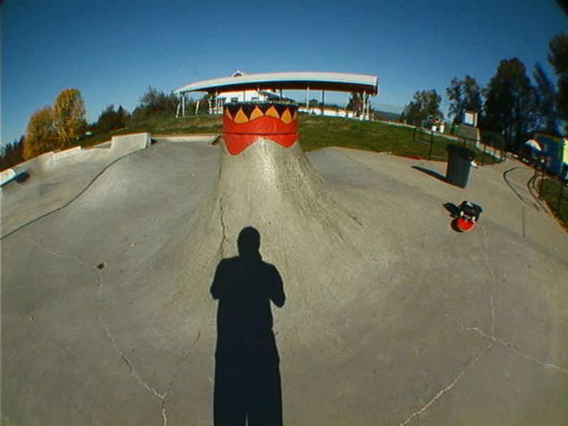 Newberg Skate Park