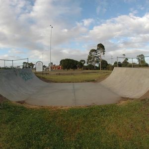 Newcomb Mini