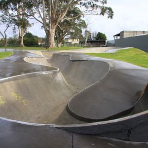 New Lynn Bowl