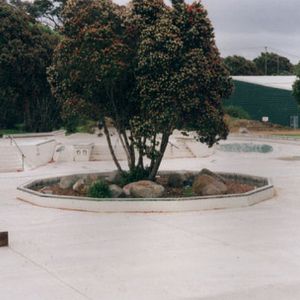 New Plymouth Skate Park