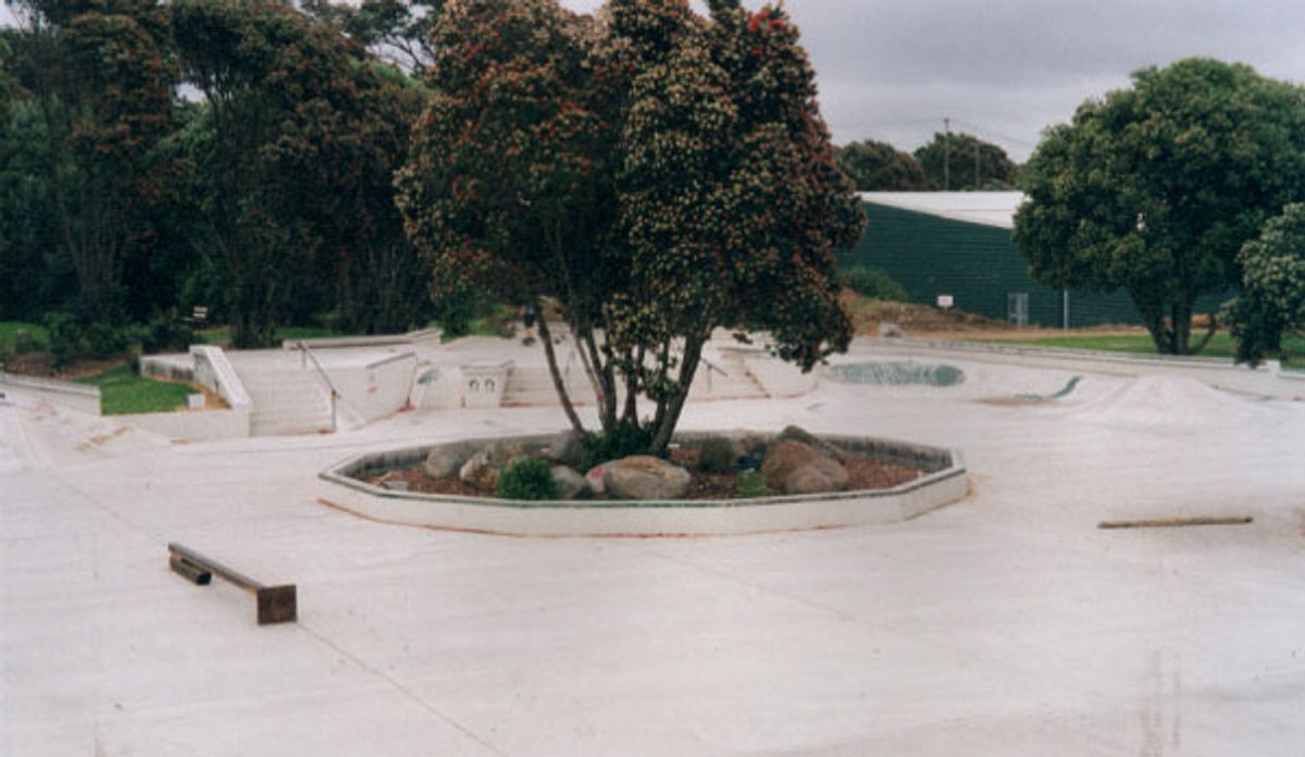 New Plymouth Skate Park skatepark