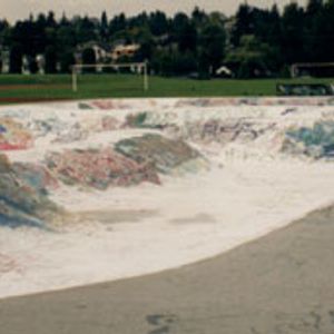 New Westminster Skate Par