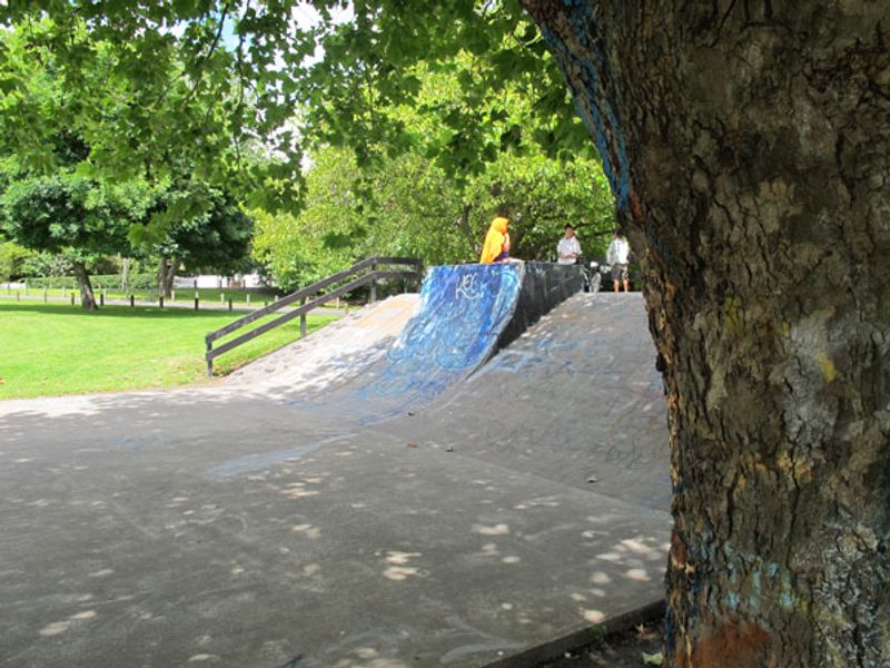Ngarauwahia Skatepark