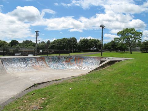 Ngarauwahia Skatepark photo 9