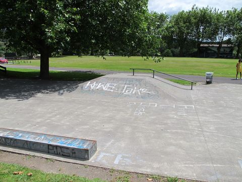 Ngarauwahia Skatepark photo 10