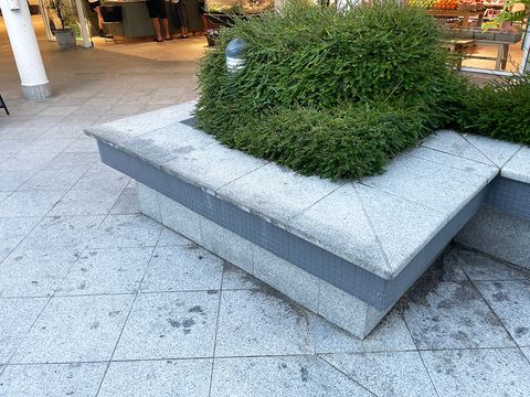 Noosa Marble Ledges photo 2