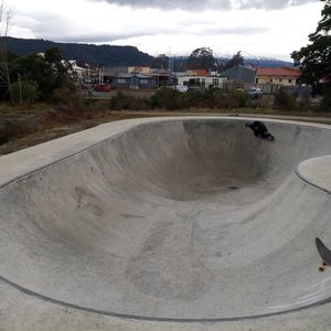 Ohakune Bowl