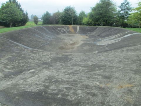 Levin Old Bowl photo 2