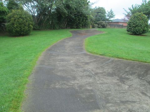 Levin Old Bowl photo 3