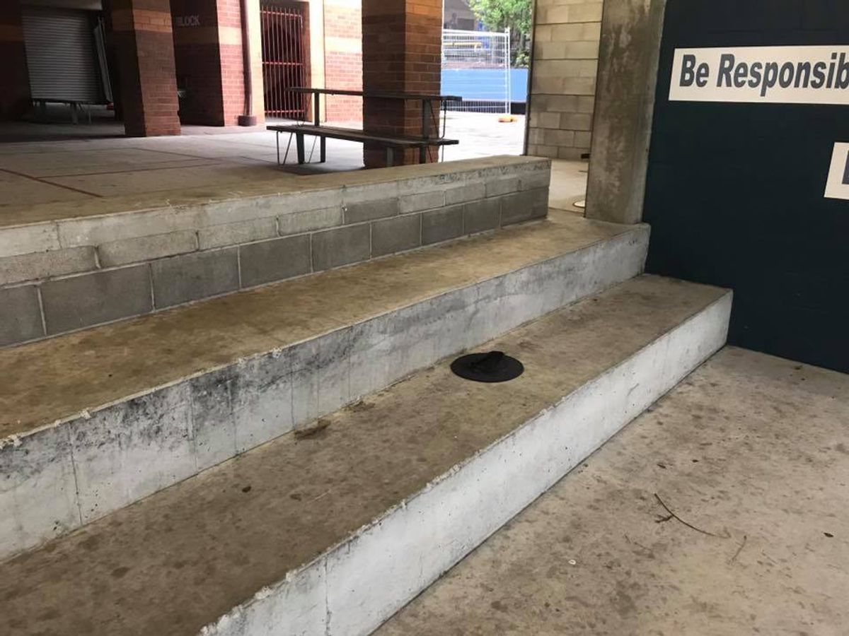 Ascot skate spot