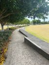 Olrig Ledges