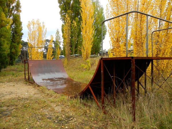 Omeo Mini Ramp