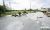 Orewa Skatepark