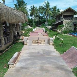 Palaboy Skate Camp 