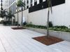 Palm Gaps 