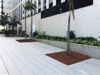 Palm Gaps