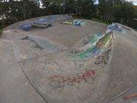 Paradise