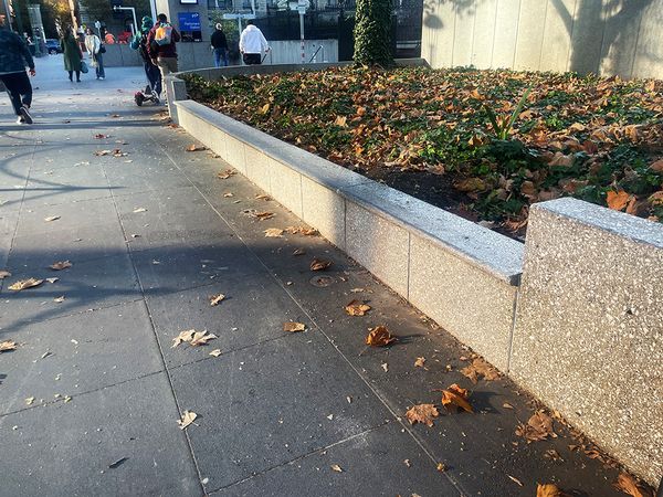 Gordon Reserve Ledge