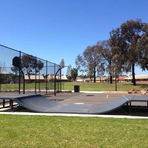 Pennington Mini Mini