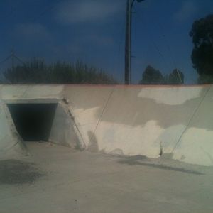 Transworld Ditch