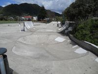 Picton Skatepark