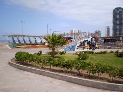 Playa Brava Skatepark photo 4